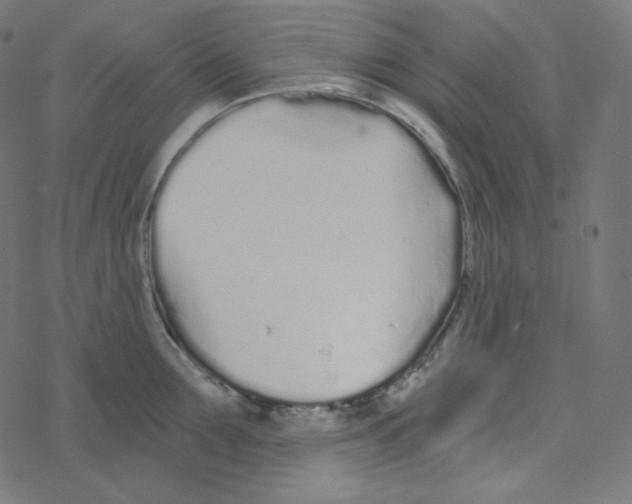 X0000078260907200612011651