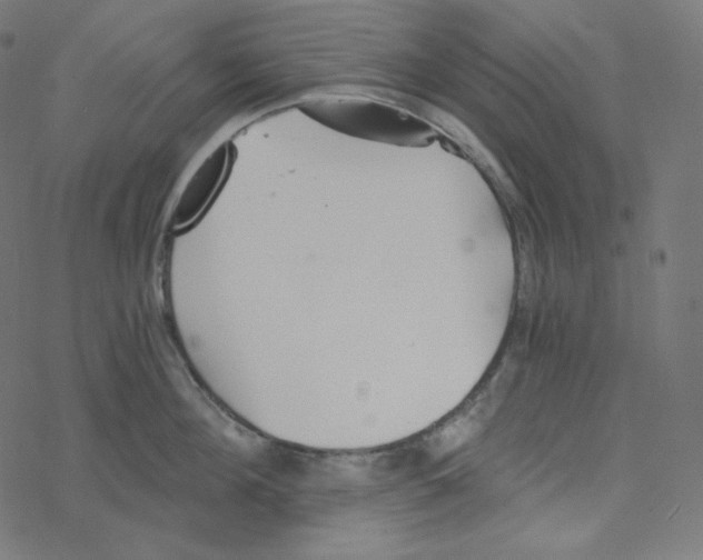 X0000078260908200612011651