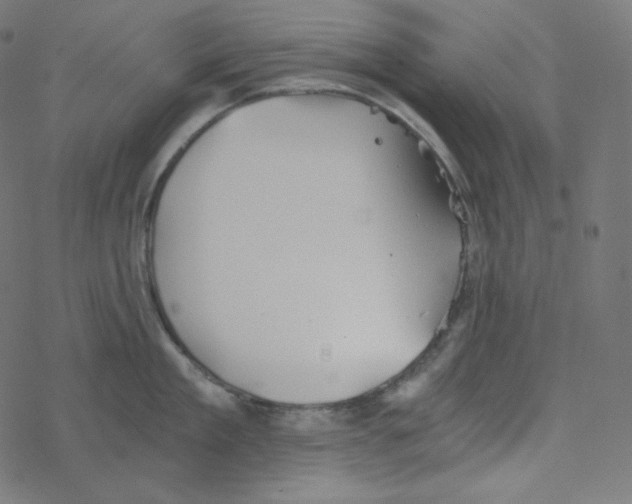 X0000078260909200612011651