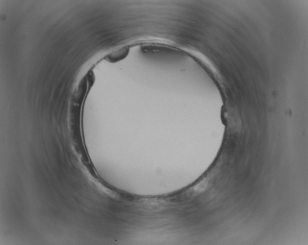 X0000078260910200612011651