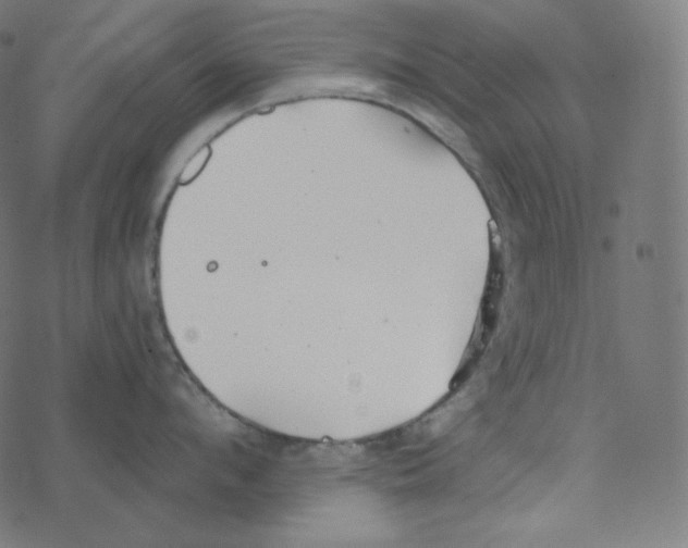 X0000078260912200612011651