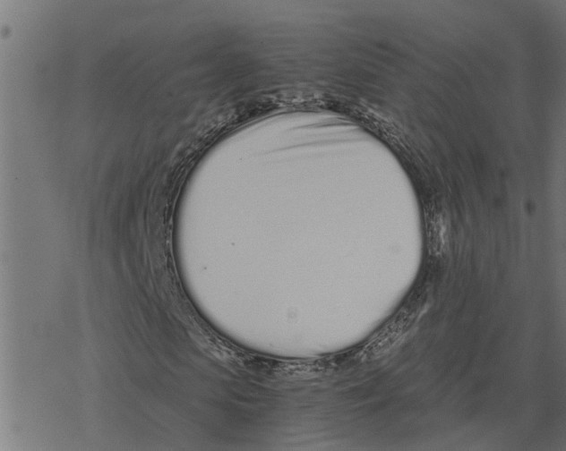 X0000078260913200612011650