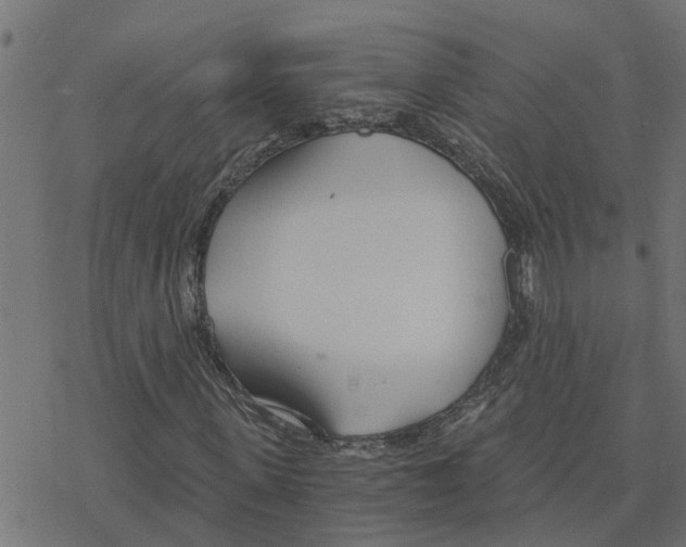 X0000078260915200612011650