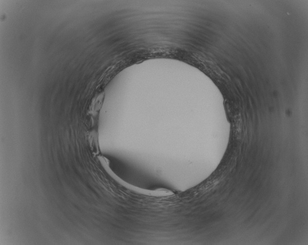 X0000078260916200612011650