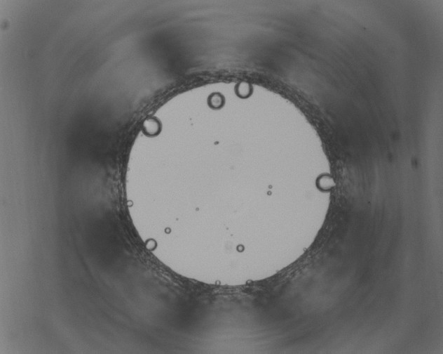 X0000078260918200612011650