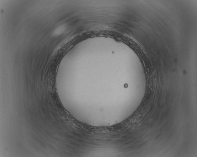 X0000078260919200612011650