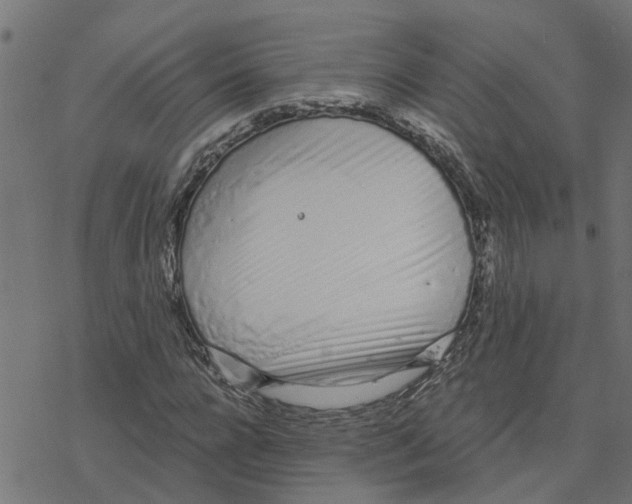 X0000078260920200612011650