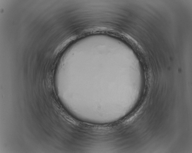 X0000078260921200612011650