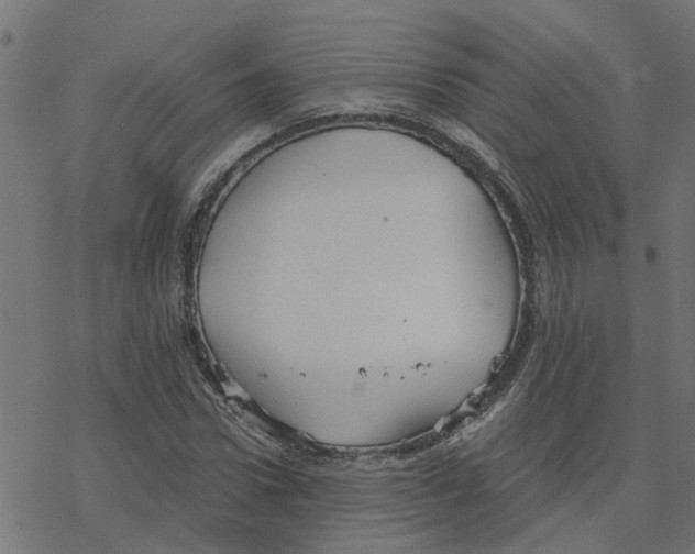 X0000078260922200612011650