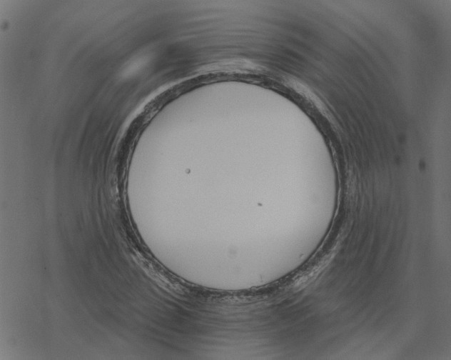 X0000078260923200612011651