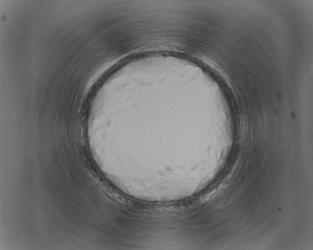 X0000078260925200612011651