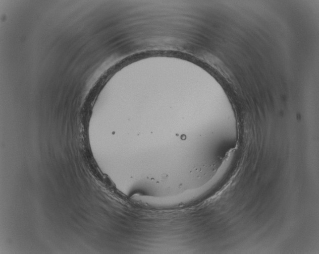 X0000078260926200612011651