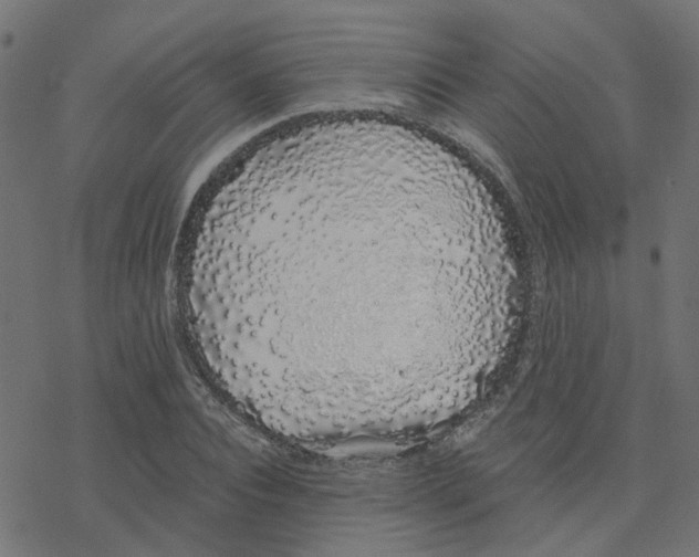 X0000078260928200612011651