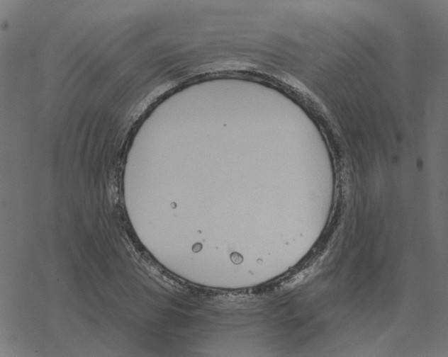 X0000078260929200612011651