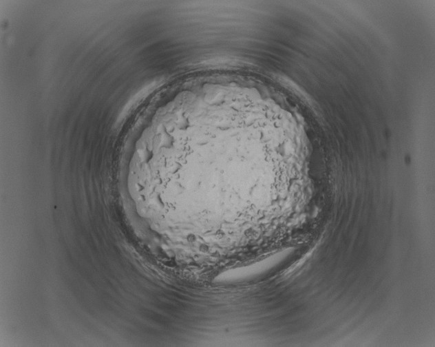 X0000078260930200612011651