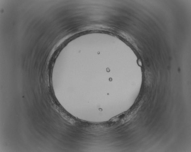 X0000078260931200612011651