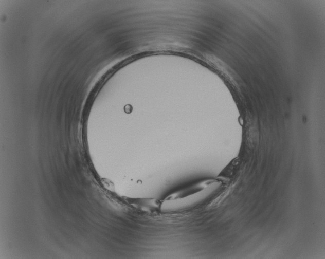 X0000078260932200612011651