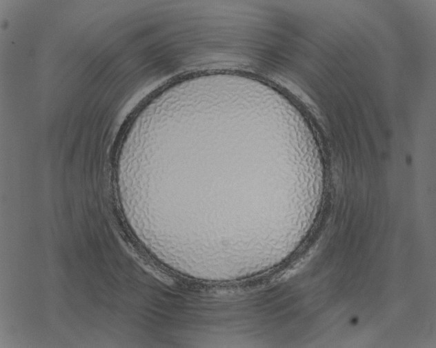 X0000078260933200612011651