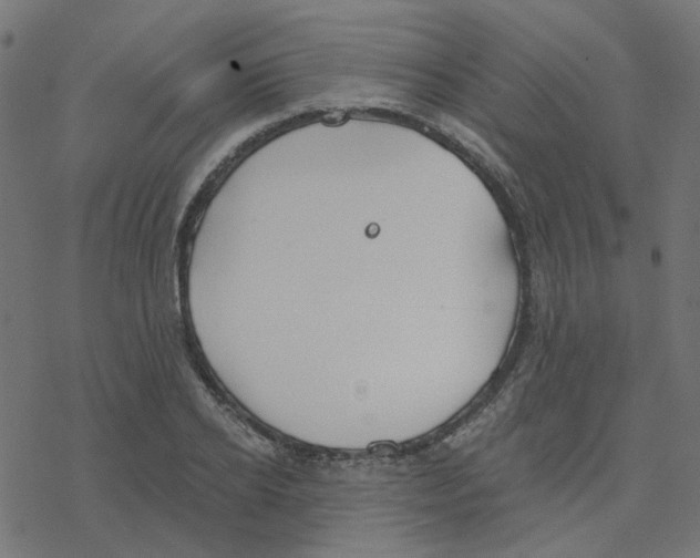 X0000078260934200612011651