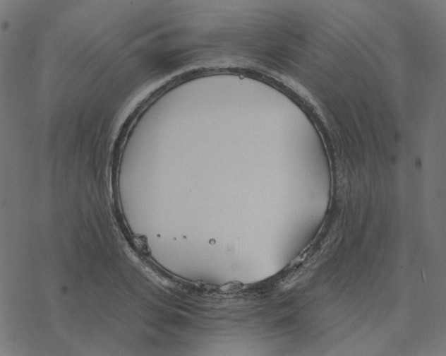 X0000078260935200612011651