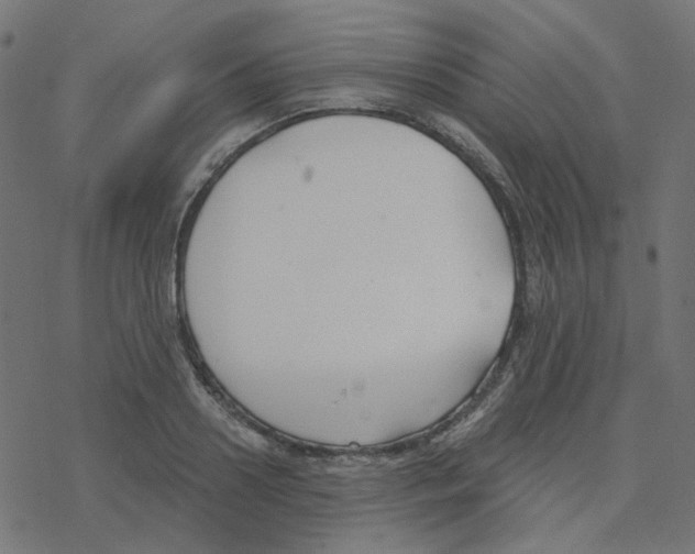 X0000078260938200612011651