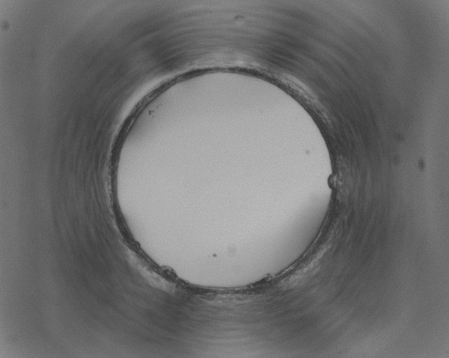 X0000078260942200612011651