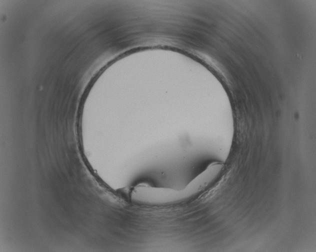 X0000078260943200612011651