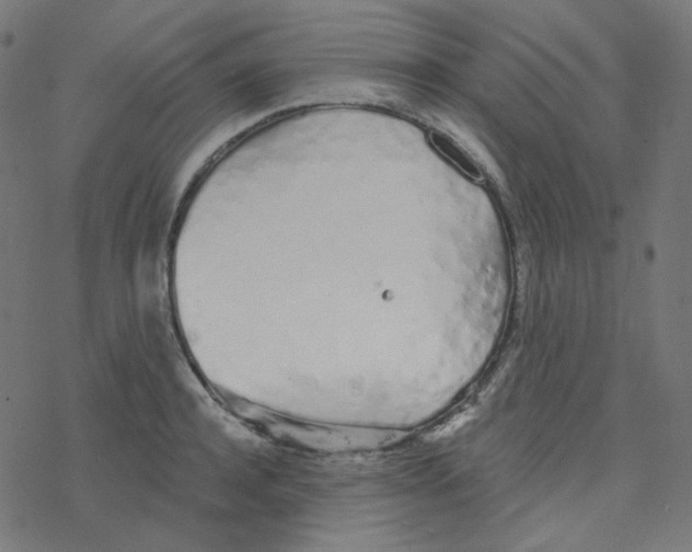 X0000078260944200612011651