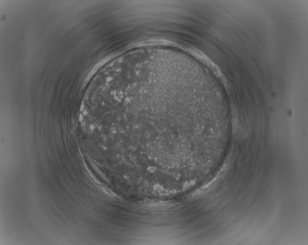 X0000078260945200612011651