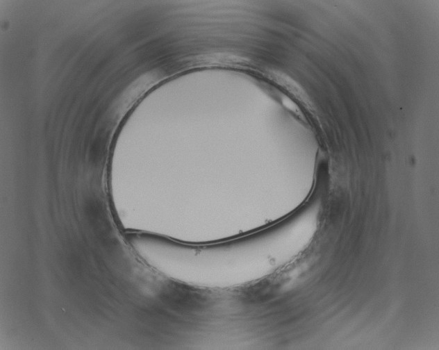 X0000078260946200612011651