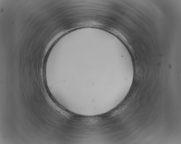 X0000078260947200612011651