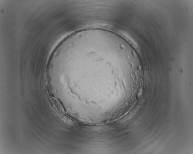 X0000078260948200612011651