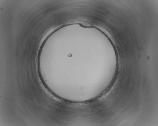 X0000078260949200612011651