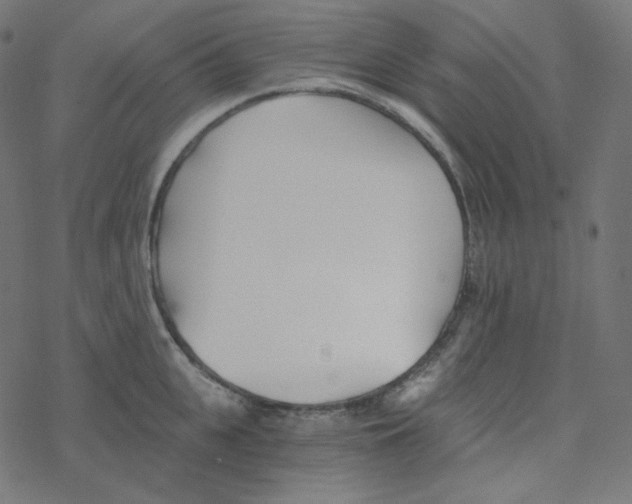 X0000078260951200612011651