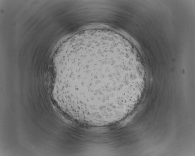 X0000078260953200612011651