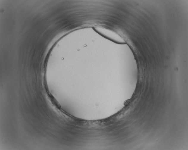 X0000078260955200612011651