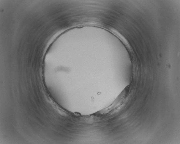 X0000078260956200612011651