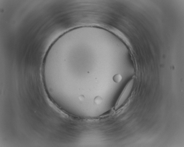 X0000078260958200612011651