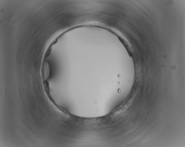 X0000078260959200612011651