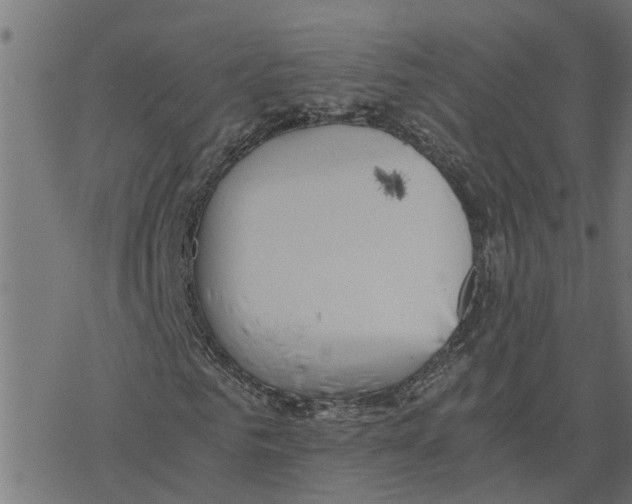 X0000078260961200612011650