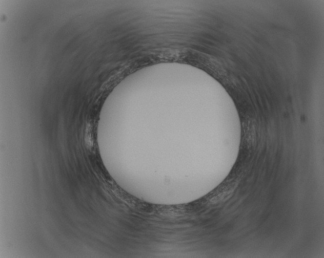 X0000078260962200612011650