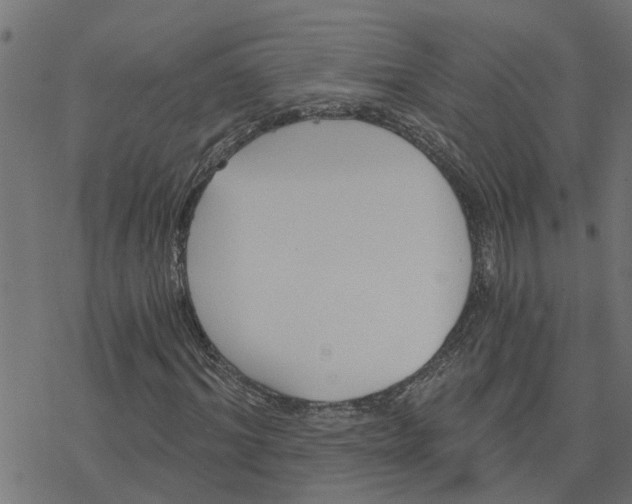 X0000078260964200612011650