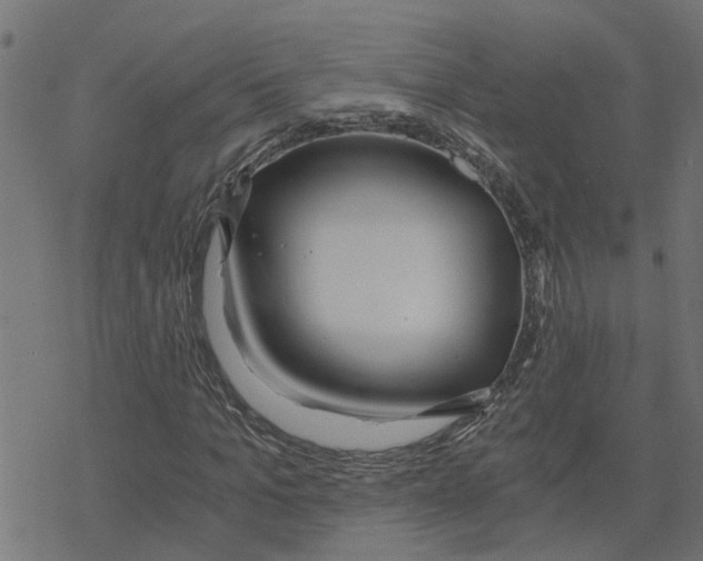 X0000078260965200612011650