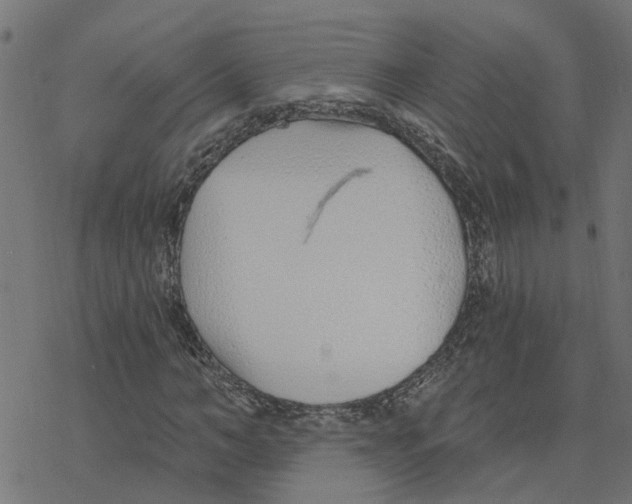 X0000078260966200612011650