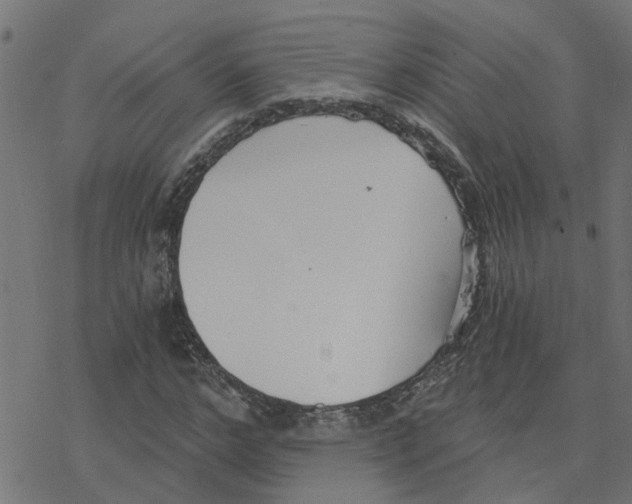 X0000078260968200612011650