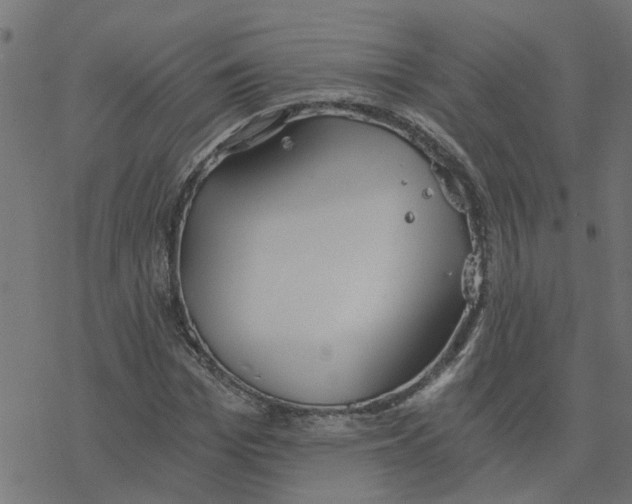 X0000078260969200612011650