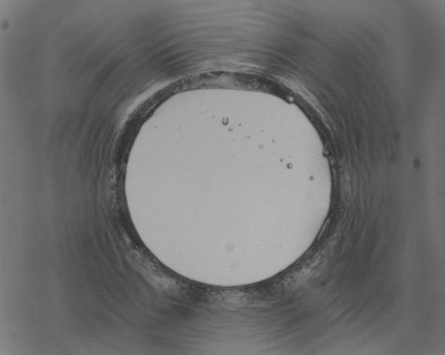 X0000078260971200612011650