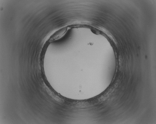 X0000078260972200612011650