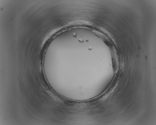 X0000078260973200612011650