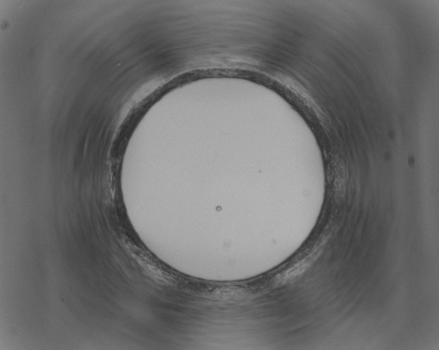 X0000078260974200612011650